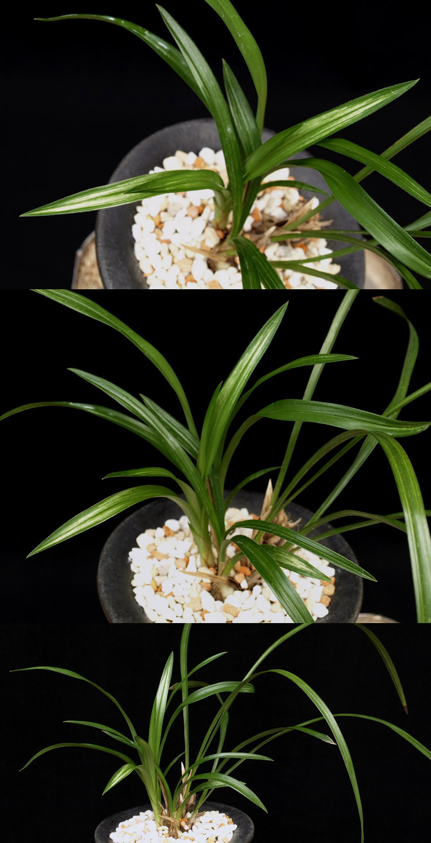  ū   ֽϴ.