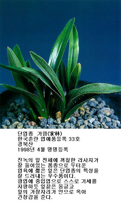  ȸ:5938
