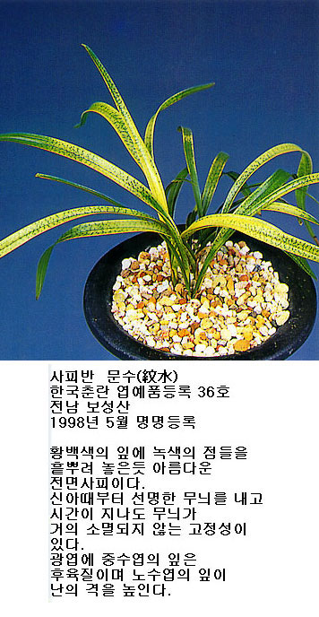  ȸ:5457