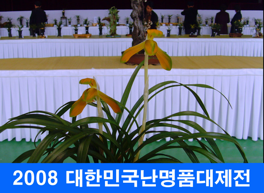 한민 이미지